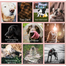 Load image into Gallery viewer, Pet Portrait Print on Canvas, Pet Loss Gift, Dog Portrait for Pet Owner, Cat Mom Dog Dad Gift