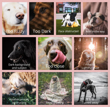 Load image into Gallery viewer, Custom Pet Portrait for the Golden Treasures Rescue