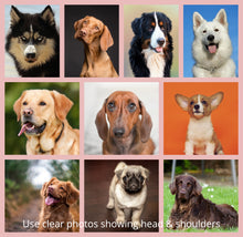 Load image into Gallery viewer, Watercolor Pet Portrait, Portrait of your Dog or Cat, Pet Memorial Gift, Custom Portrait from Photo