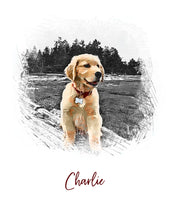 Load image into Gallery viewer, Pet Portrait Sketch, Portrait of your Dog or Cat, Pet Memorial Gift, Custom Portrait from Photo, Cross hatch Pen Portrait