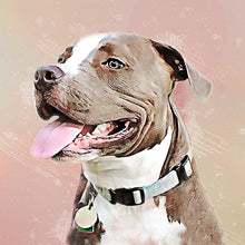 Load image into Gallery viewer, Custom Pet Portrait, Pen and Watercolor Style Portrait of your Dog or Cat, Pet Memorial Gift