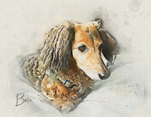 Load image into Gallery viewer, Custom Pet Portrait, Pen and Watercolor Style Portrait of your Dog or Cat, Pet Memorial Gift