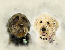 Load image into Gallery viewer, Custom Pet Portrait, Pen and Watercolor Style Portrait of your Dog or Cat, Pet Memorial Gift
