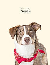 Load image into Gallery viewer, Modern style Pet Portrait, Portrait of your Dog or Cat, Pet Memorial Gift, Simple Custom Portrait from Photo