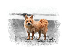 Load image into Gallery viewer, Pet Portrait Sketch, Portrait of your Dog or Cat, Pet Memorial Gift, Custom Portrait from Photo, Cross hatch Pen Portrait