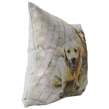 Load image into Gallery viewer, Custom Pet Portrait Pillow, Gift for Pet Owners, Pet Pillow from Photo
