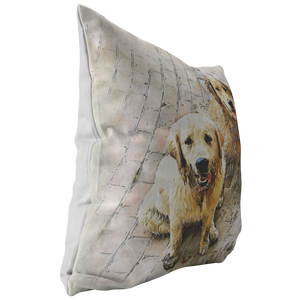 Custom Pet Portrait Pillow, Gift for Pet Owners, Pet Pillow from Photo