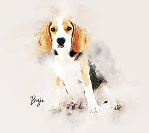 Custom Pet Portrait, Pen and Watercolor Style Portrait of your Dog or Cat, Pet Memorial Gift