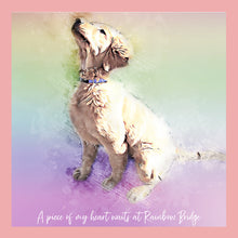 Load image into Gallery viewer, Rainbow Bridge Pet Portrait, Colorful Style Portrait of your Dog or Cat, Pet Memorial Gift
