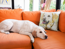 Load image into Gallery viewer, Fun Pet Portrait Pillow, Gift for Pet Owners, Pet Pillow from Photo, Portrait of your Dog
